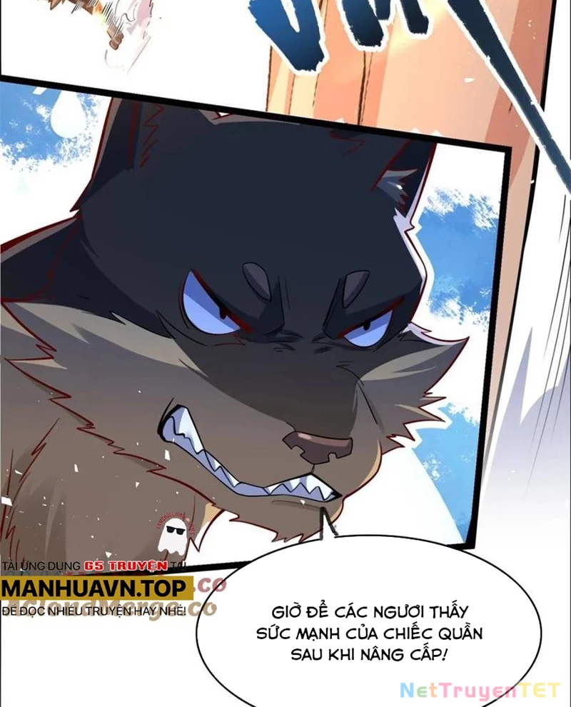 Nguyên Lai Ta Là Tu Tiên Đại Lão Chapter 526 - Trang 4