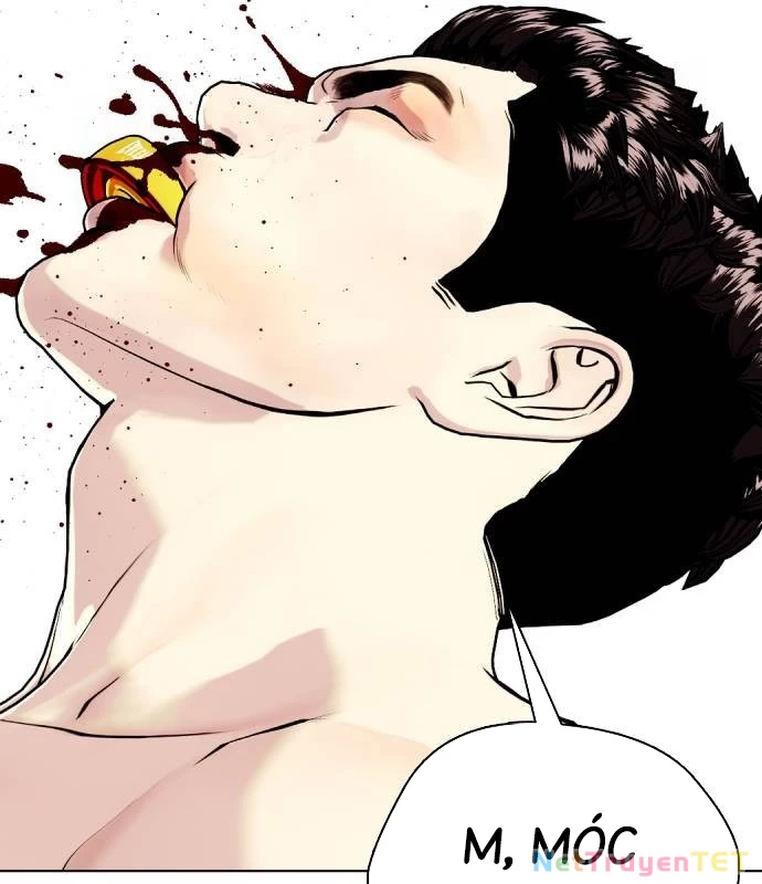 Loser Giỏi Võ Chapter 102 - Trang 4