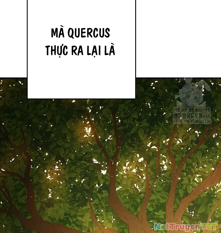 Tái Thiết Hầm Ngục Chapter 235 - Trang 4