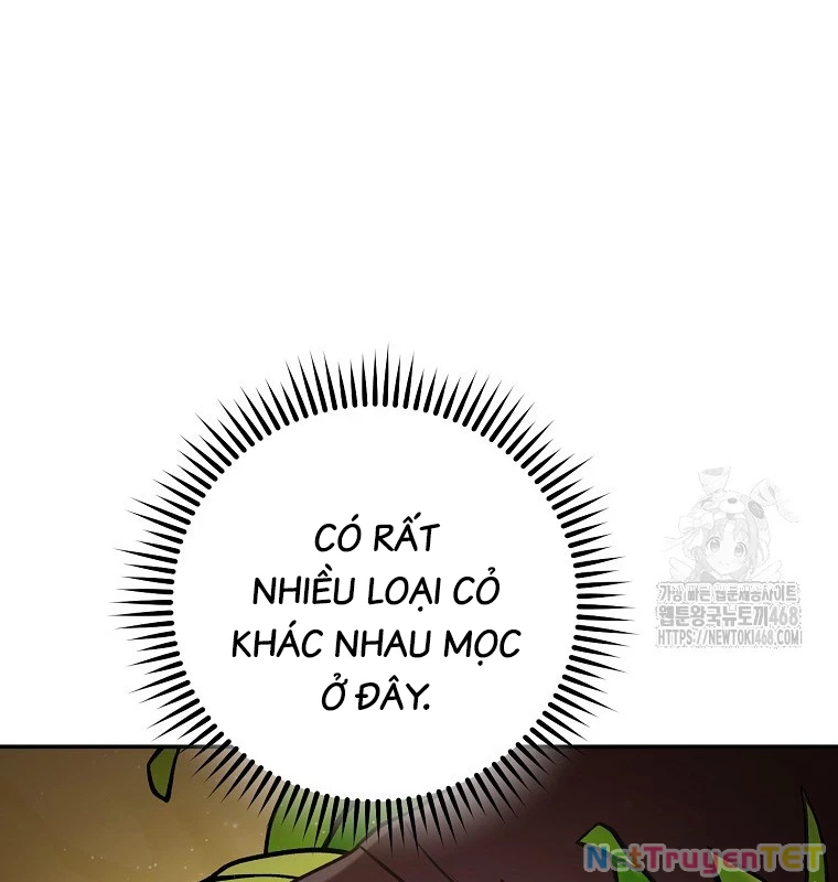 Tái Thiết Hầm Ngục Chapter 235 - Trang 4