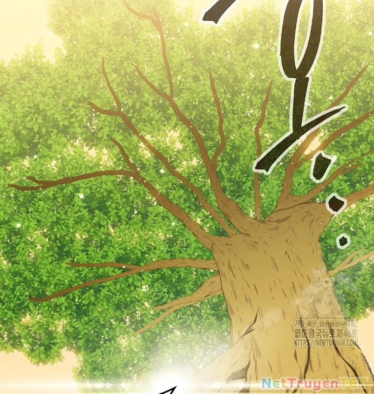 Tái Thiết Hầm Ngục Chapter 235 - Trang 4