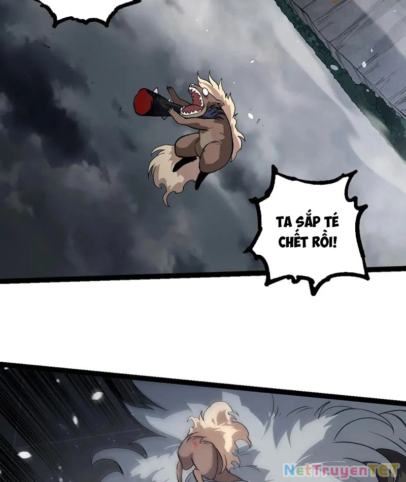 Chuyển Sinh Thành Liễu Đột Biến Chapter 325 - Trang 4