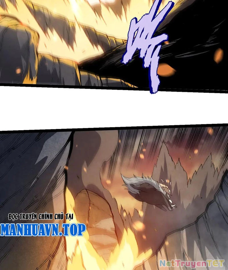Chuyển Sinh Thành Liễu Đột Biến Chapter 325 - Trang 4