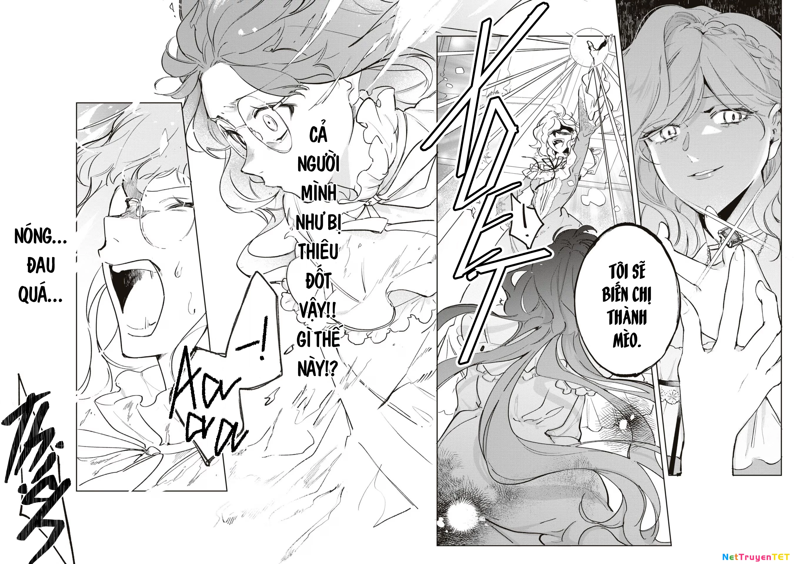 Tiểu Thư Nhút Nhát Hóa Mèo, Lúc Suýt Chết Thì Được Công Tước Cứu Chapter 3 - Trang 3