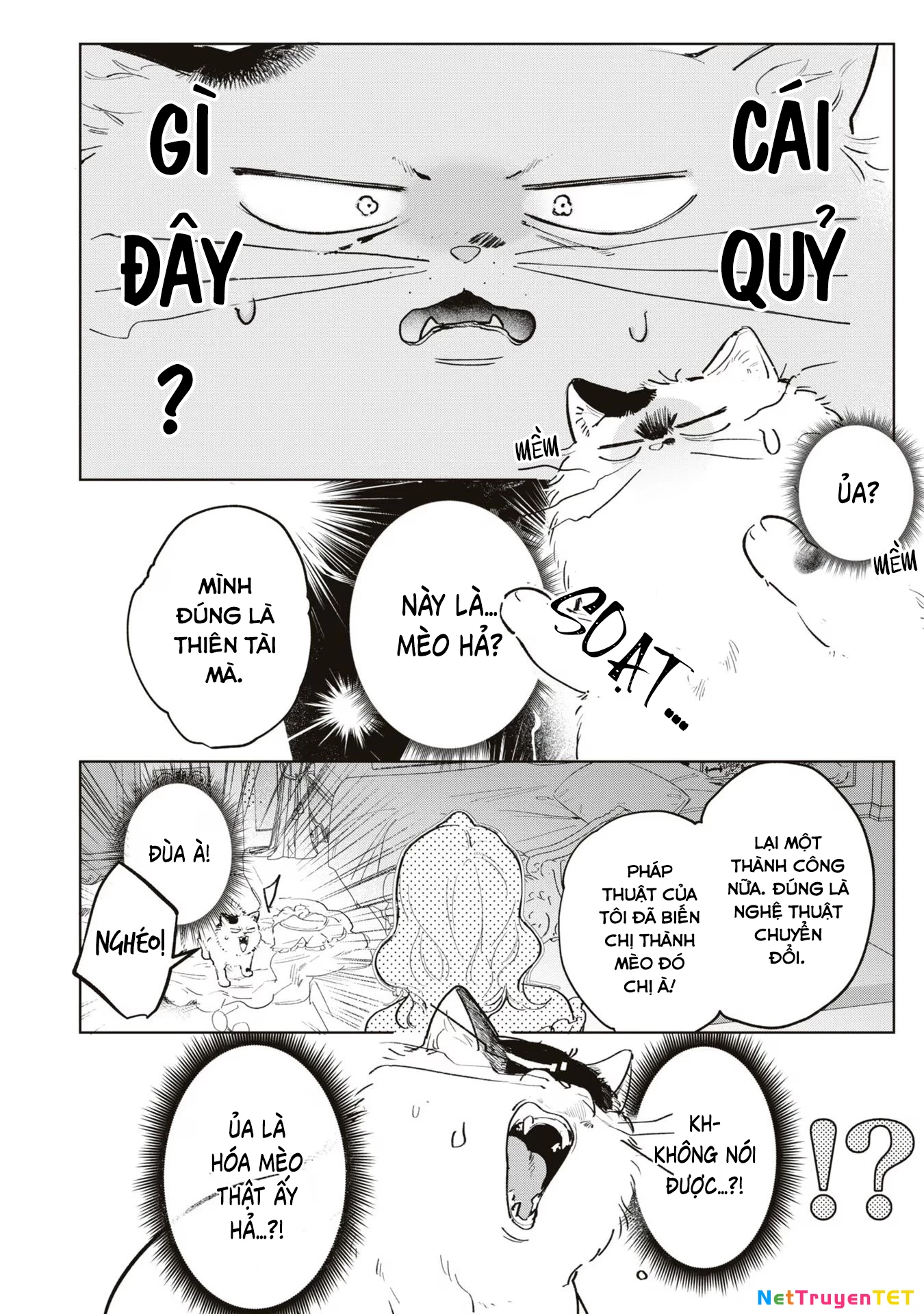Tiểu Thư Nhút Nhát Hóa Mèo, Lúc Suýt Chết Thì Được Công Tước Cứu Chapter 3 - Trang 3