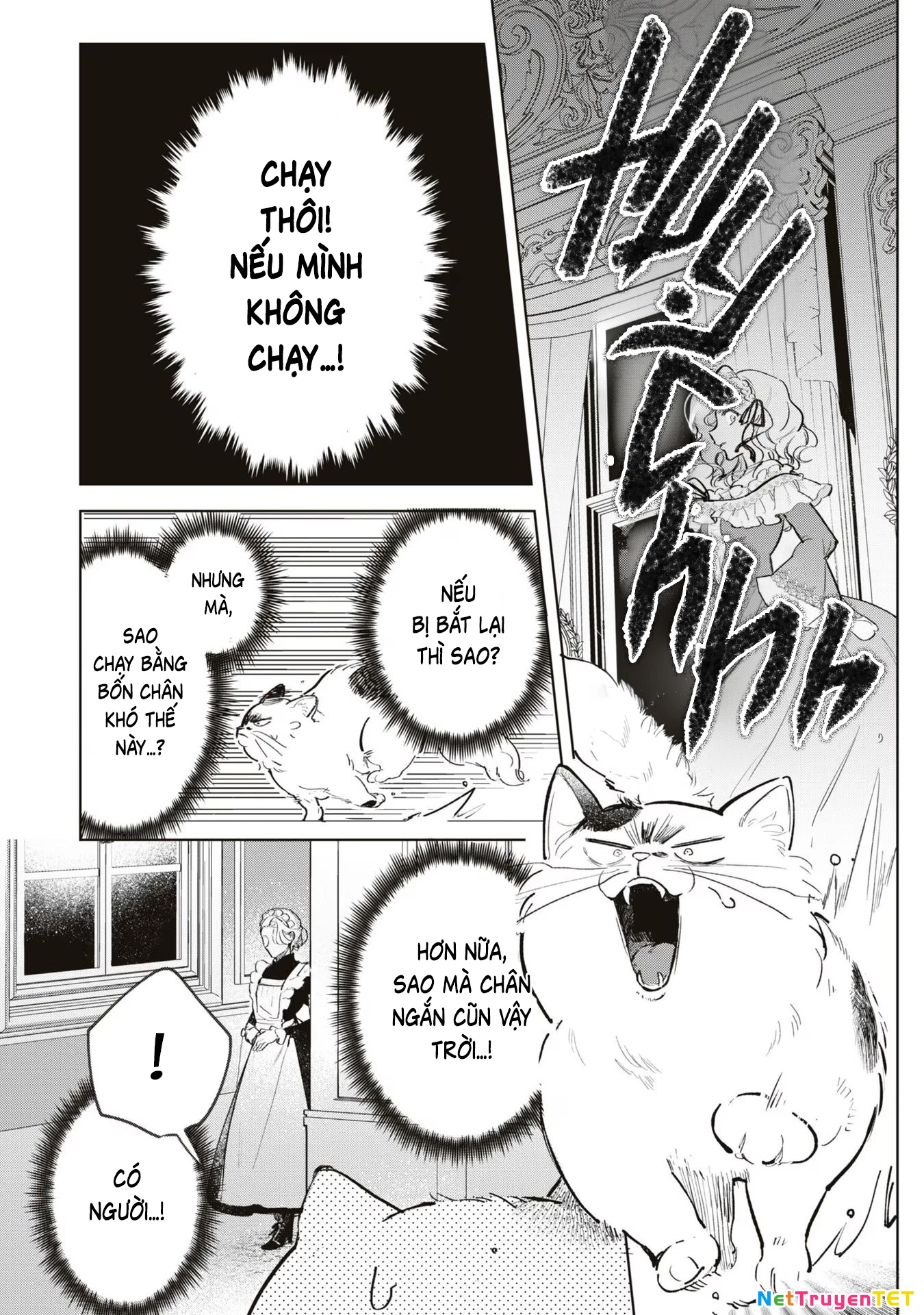 Tiểu Thư Nhút Nhát Hóa Mèo, Lúc Suýt Chết Thì Được Công Tước Cứu Chapter 3 - Trang 3