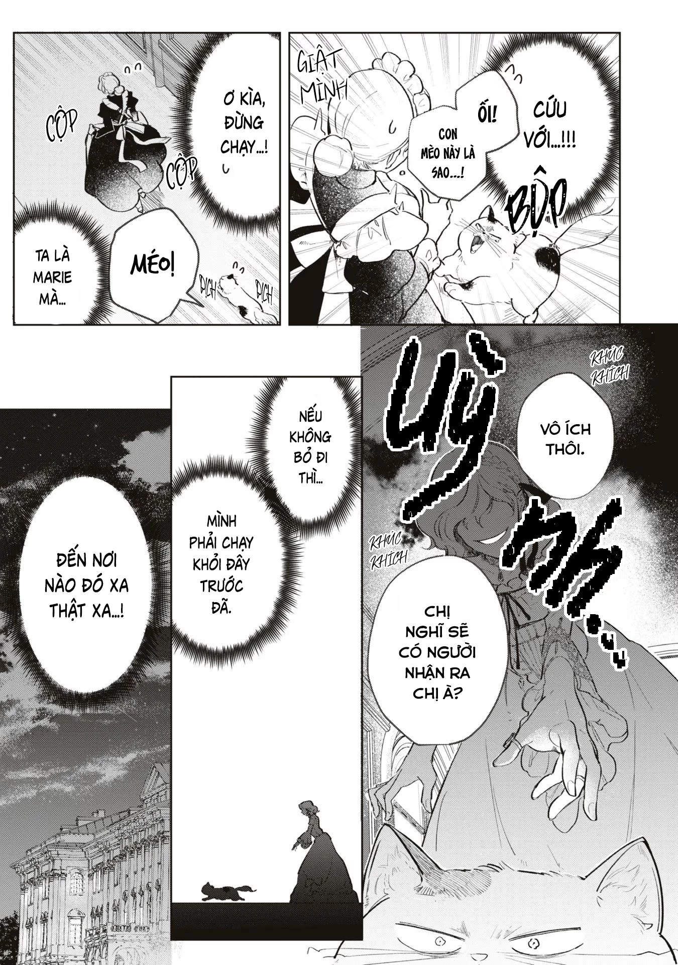 Tiểu Thư Nhút Nhát Hóa Mèo, Lúc Suýt Chết Thì Được Công Tước Cứu Chapter 3 - Trang 3