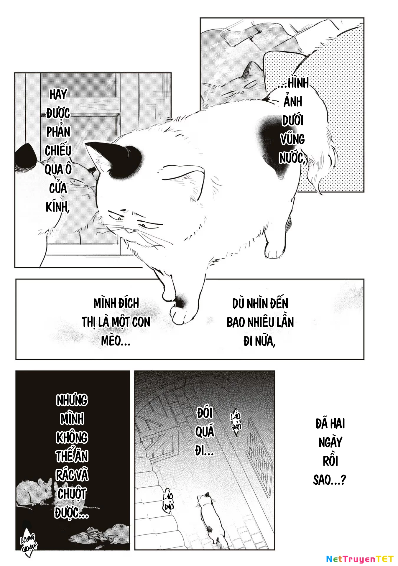 Tiểu Thư Nhút Nhát Hóa Mèo, Lúc Suýt Chết Thì Được Công Tước Cứu Chapter 3 - Trang 3