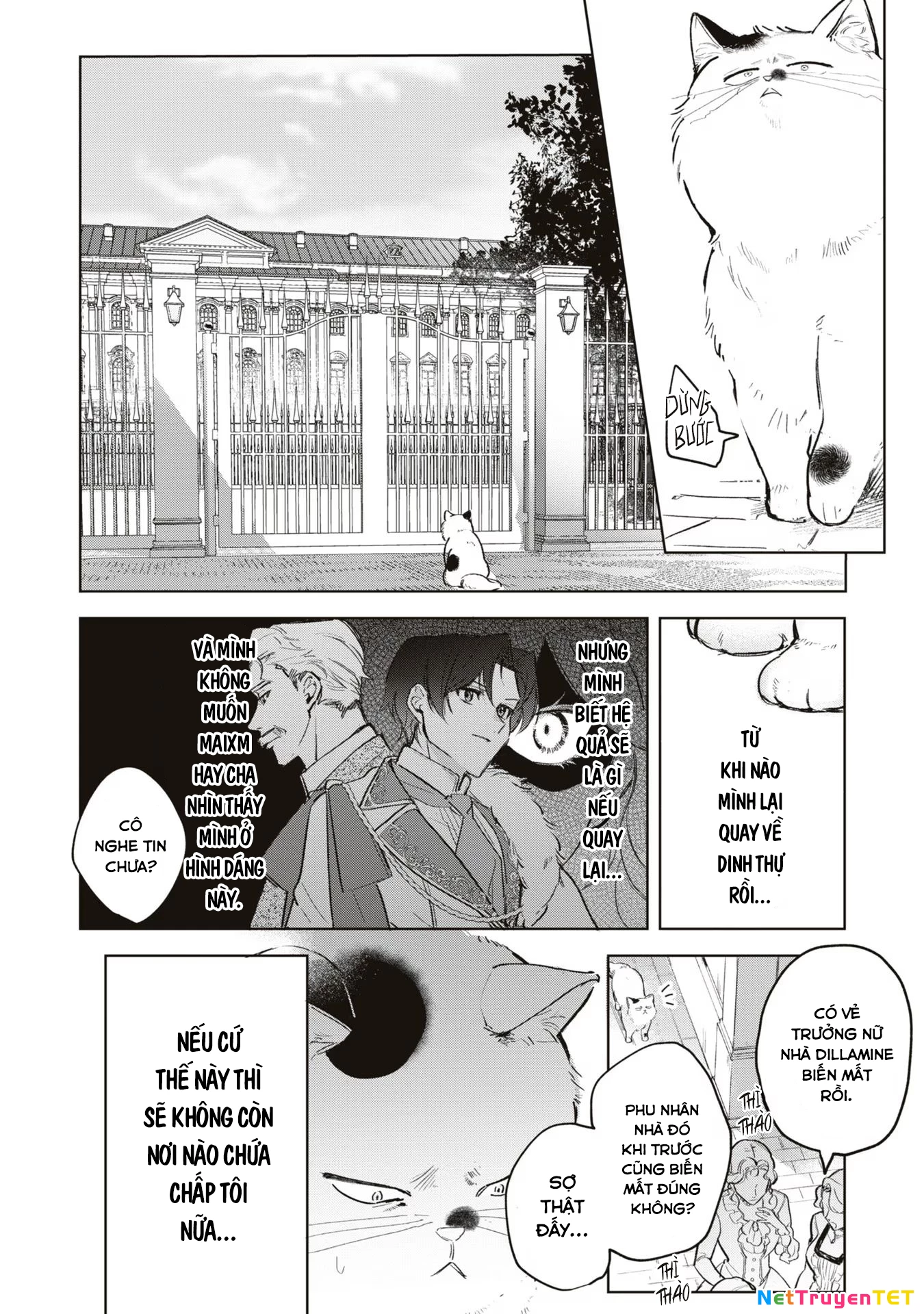 Tiểu Thư Nhút Nhát Hóa Mèo, Lúc Suýt Chết Thì Được Công Tước Cứu Chapter 3 - Trang 3