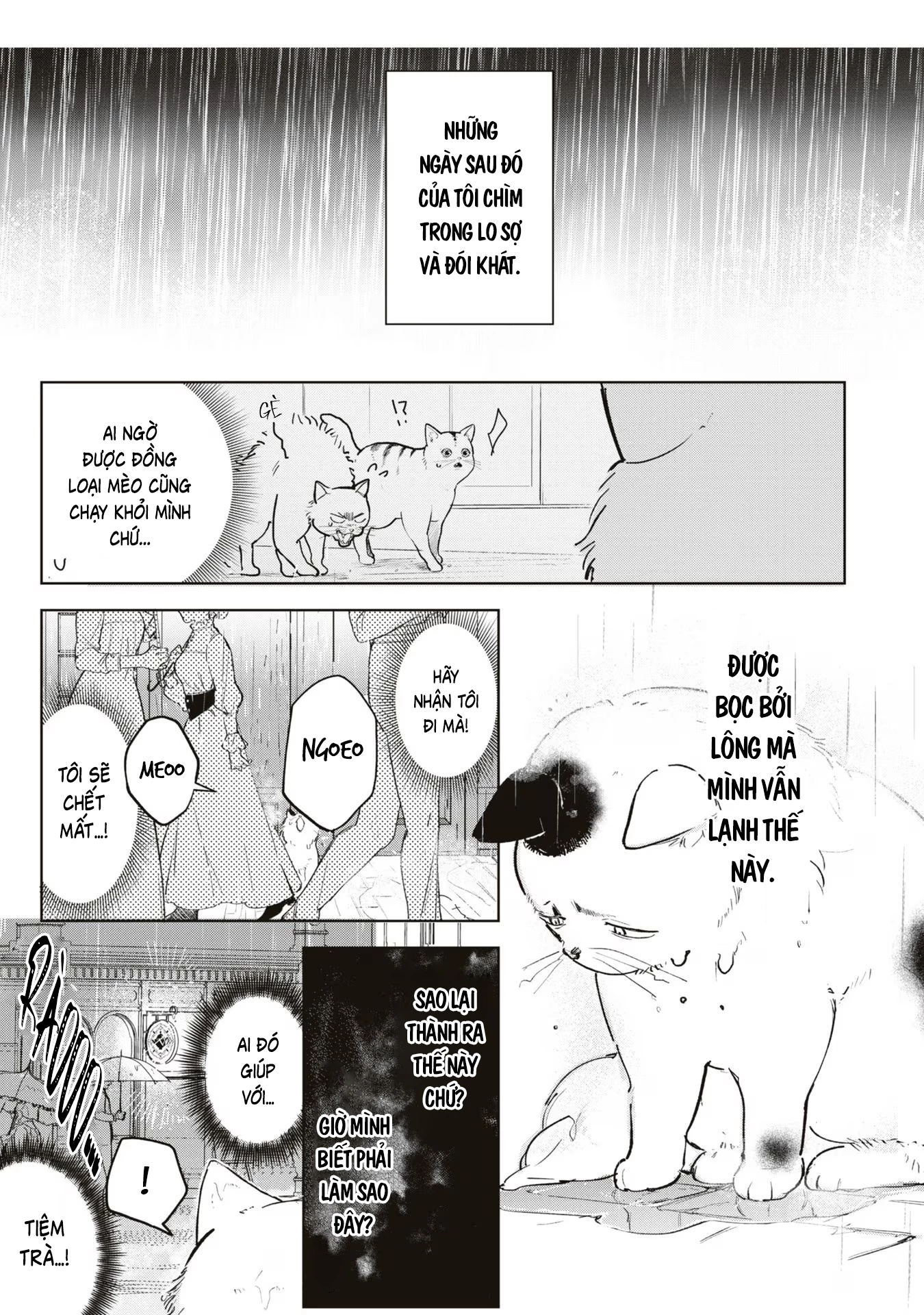 Tiểu Thư Nhút Nhát Hóa Mèo, Lúc Suýt Chết Thì Được Công Tước Cứu Chapter 3 - Trang 3