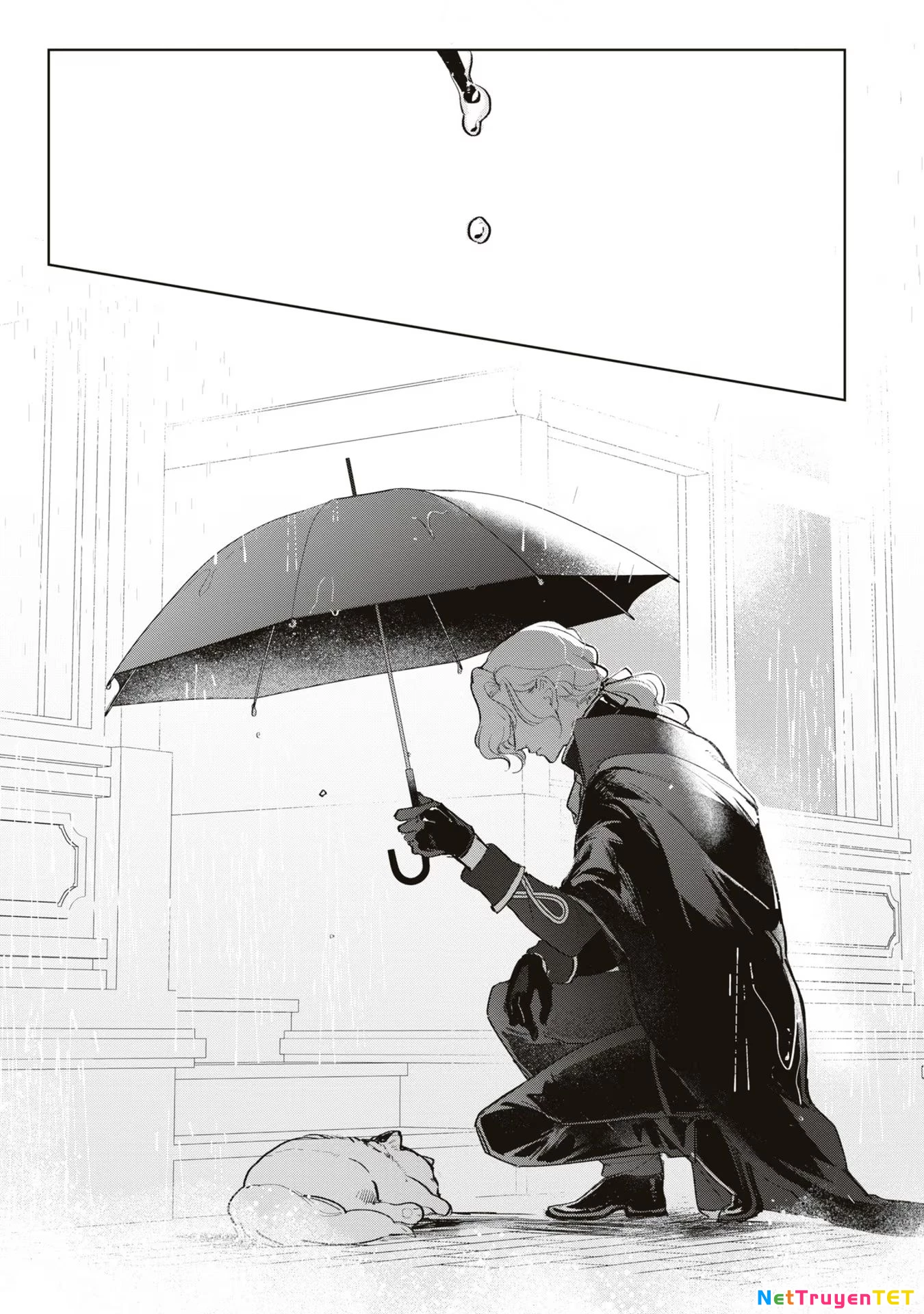 Tiểu Thư Nhút Nhát Hóa Mèo, Lúc Suýt Chết Thì Được Công Tước Cứu Chapter 3 - Trang 3