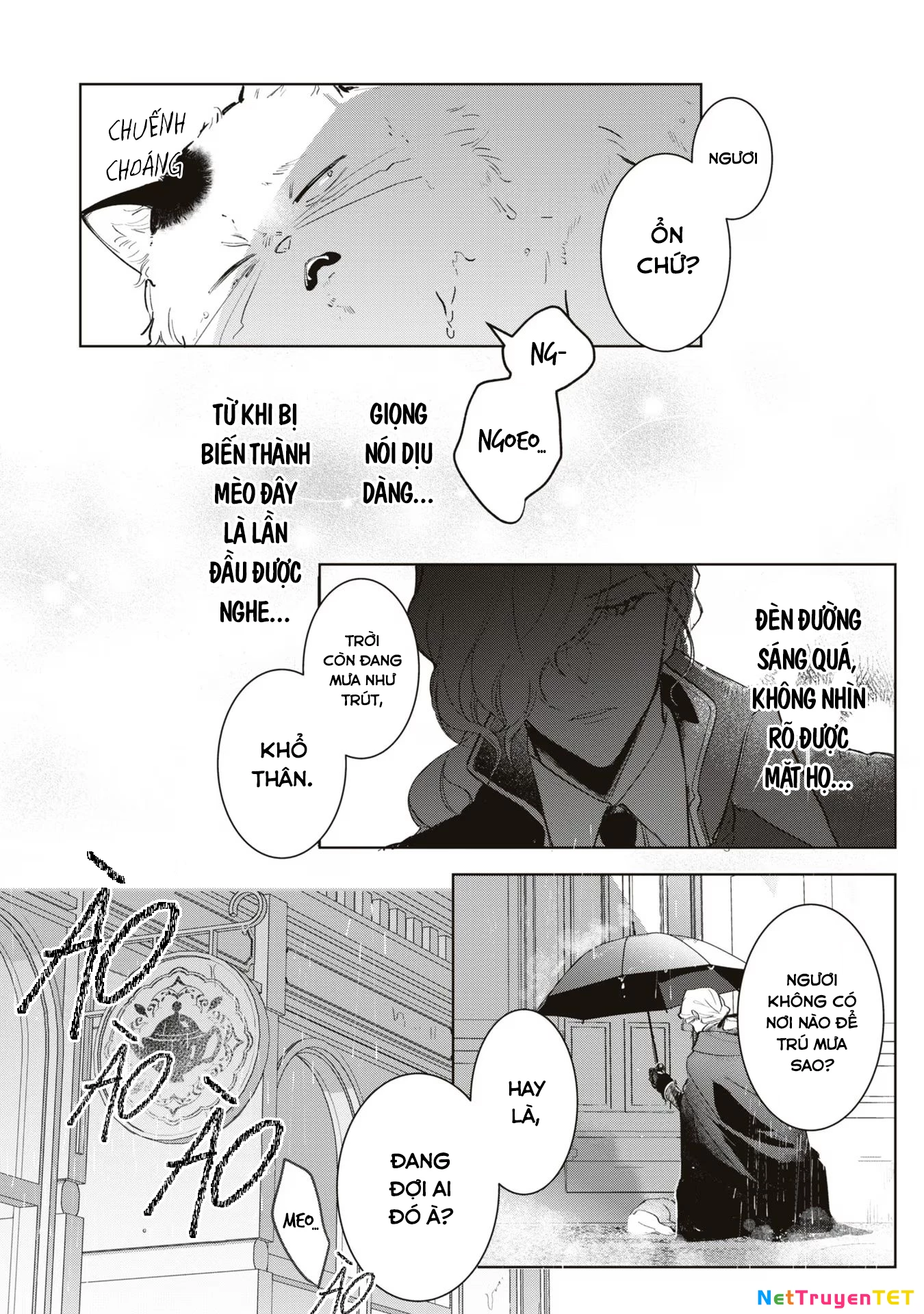 Tiểu Thư Nhút Nhát Hóa Mèo, Lúc Suýt Chết Thì Được Công Tước Cứu Chapter 3 - Trang 3