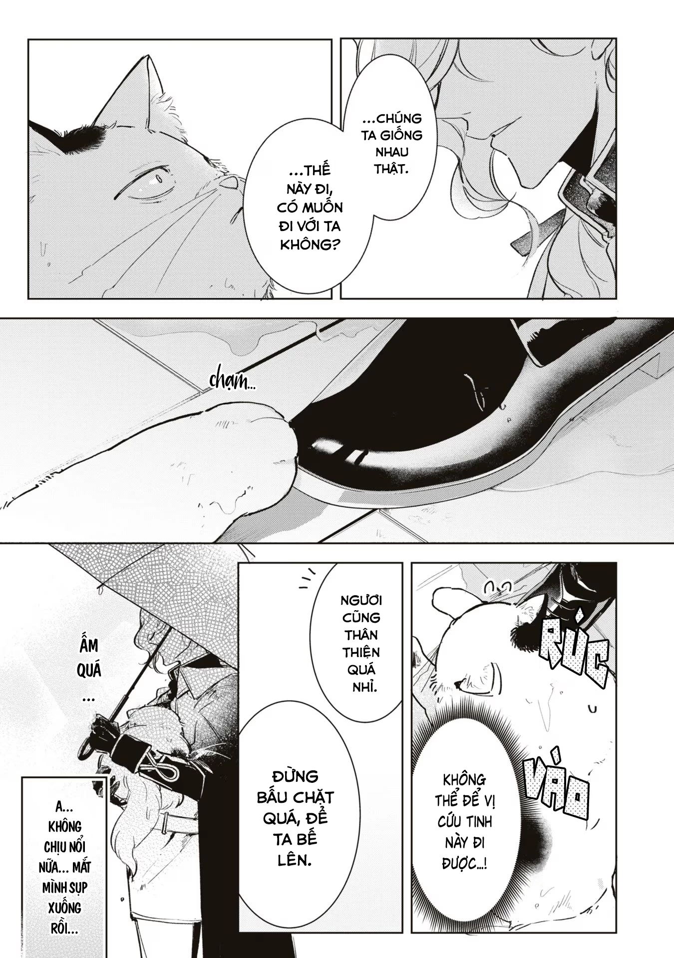 Tiểu Thư Nhút Nhát Hóa Mèo, Lúc Suýt Chết Thì Được Công Tước Cứu Chapter 3 - Trang 3