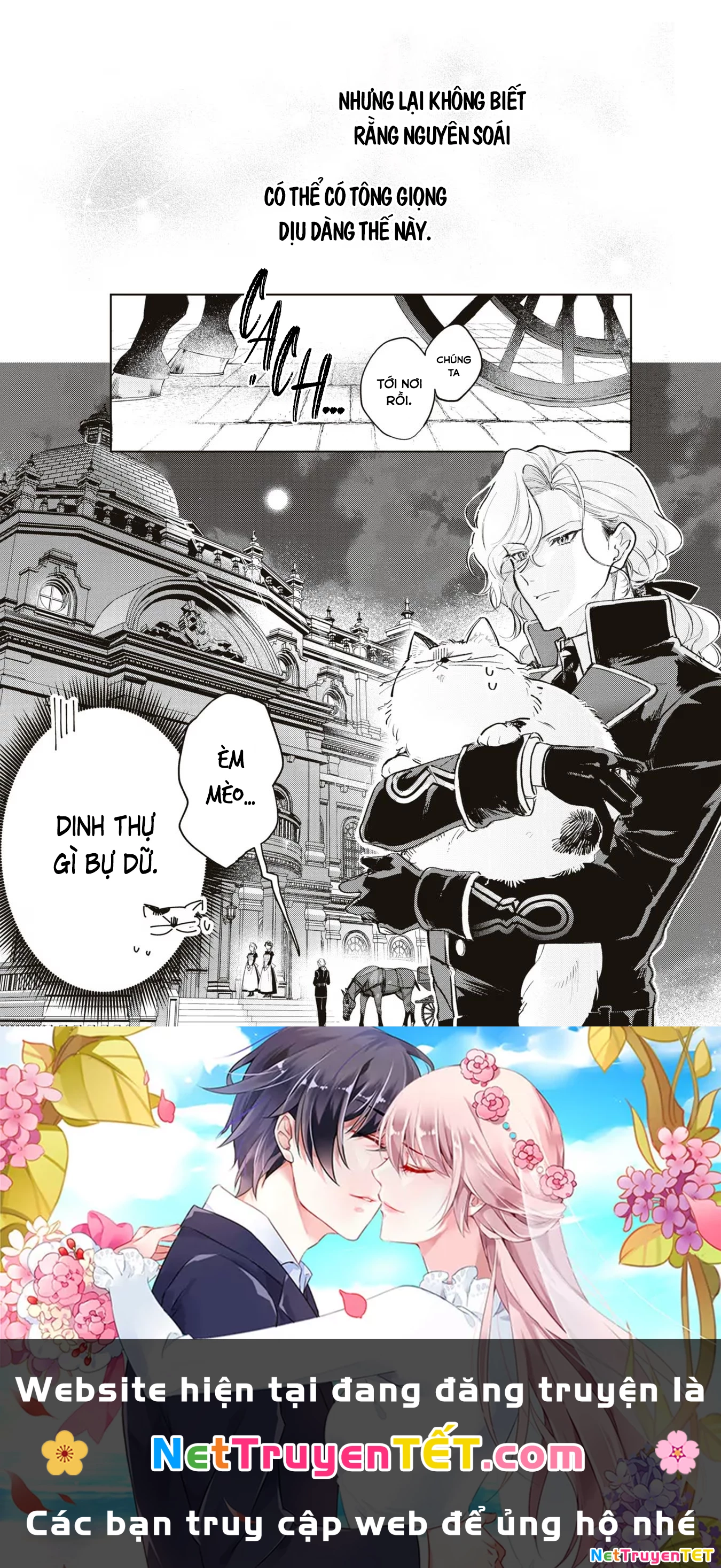 Tiểu Thư Nhút Nhát Hóa Mèo, Lúc Suýt Chết Thì Được Công Tước Cứu Chapter 3 - Trang 3