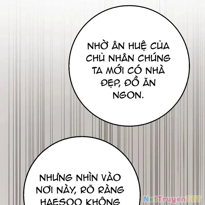 Thiên Tài Võ Thuật Hồi Quy Chapter 79 - Trang 4