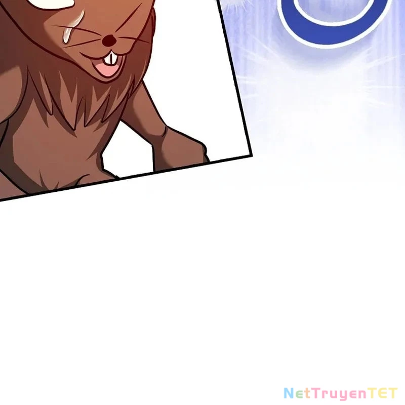 Thiên Tài Võ Thuật Hồi Quy Chapter 79 - Trang 4