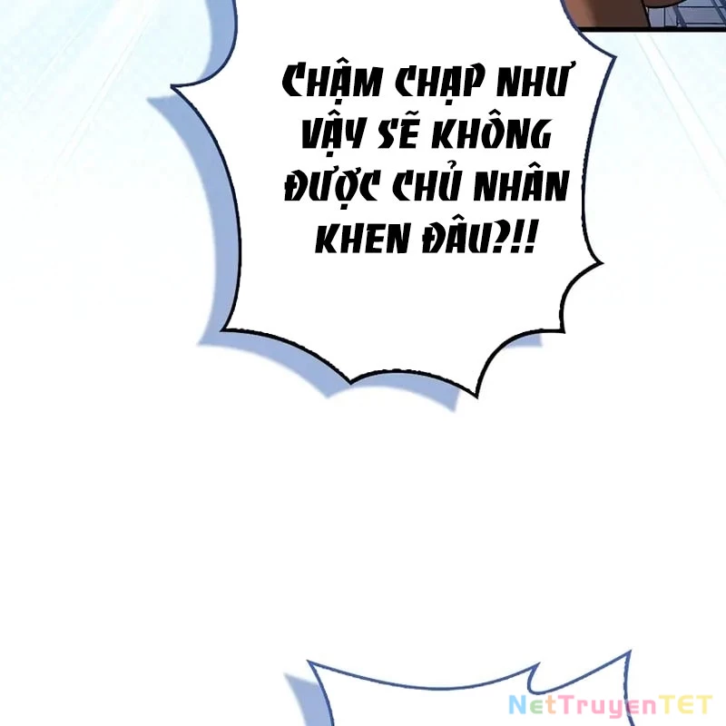 Thiên Tài Võ Thuật Hồi Quy Chapter 79 - Trang 4