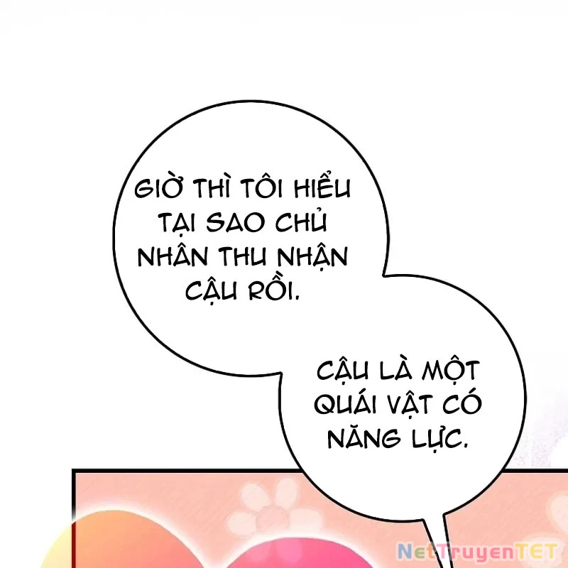 Thiên Tài Võ Thuật Hồi Quy Chapter 79 - Trang 4