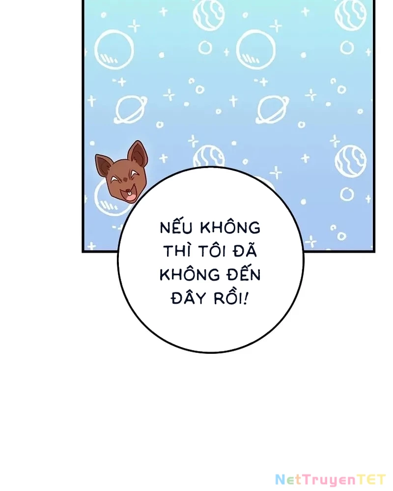 Thiên Tài Võ Thuật Hồi Quy Chapter 80 - Trang 4