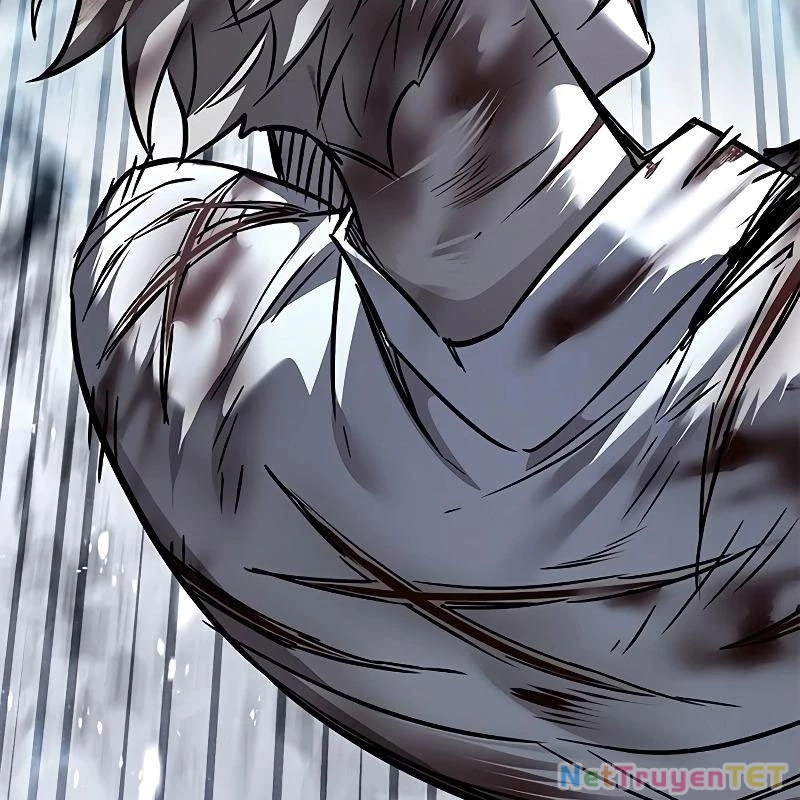 Hoá Thân Thành Mèo Chapter 335 - Trang 4