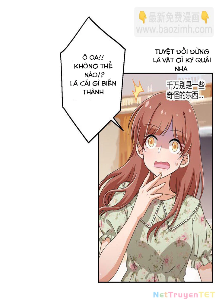 Ông Trời Đã Ban Cho Tôi Siêu Năng Lực Kỳ Lạ Gì Thế Này? Chapter 38 - Trang 4