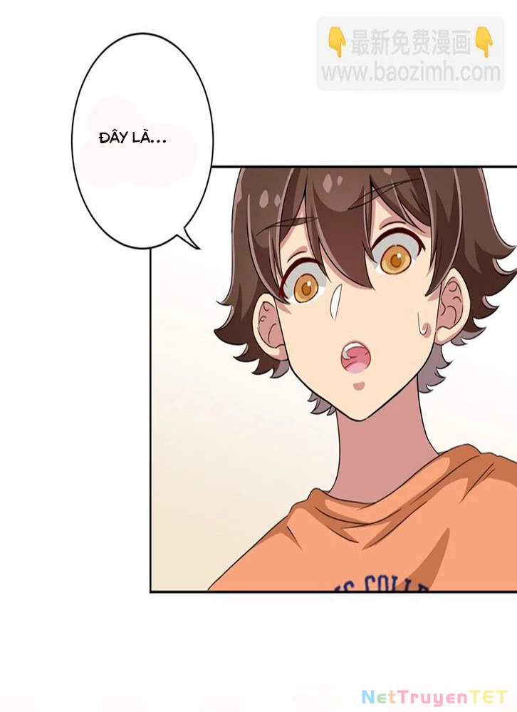 Ông Trời Đã Ban Cho Tôi Siêu Năng Lực Kỳ Lạ Gì Thế Này? Chapter 44 - Trang 4