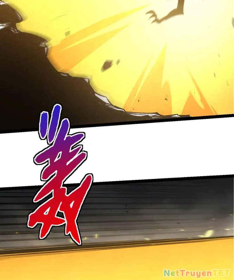 Chuyển Sinh Thành Liễu Đột Biến Chapter 326 - Trang 4