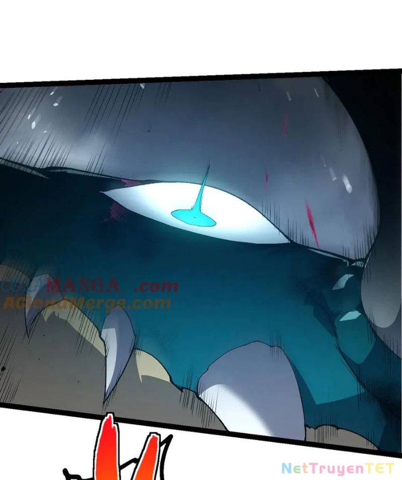 Chuyển Sinh Thành Liễu Đột Biến Chapter 326 - Trang 4