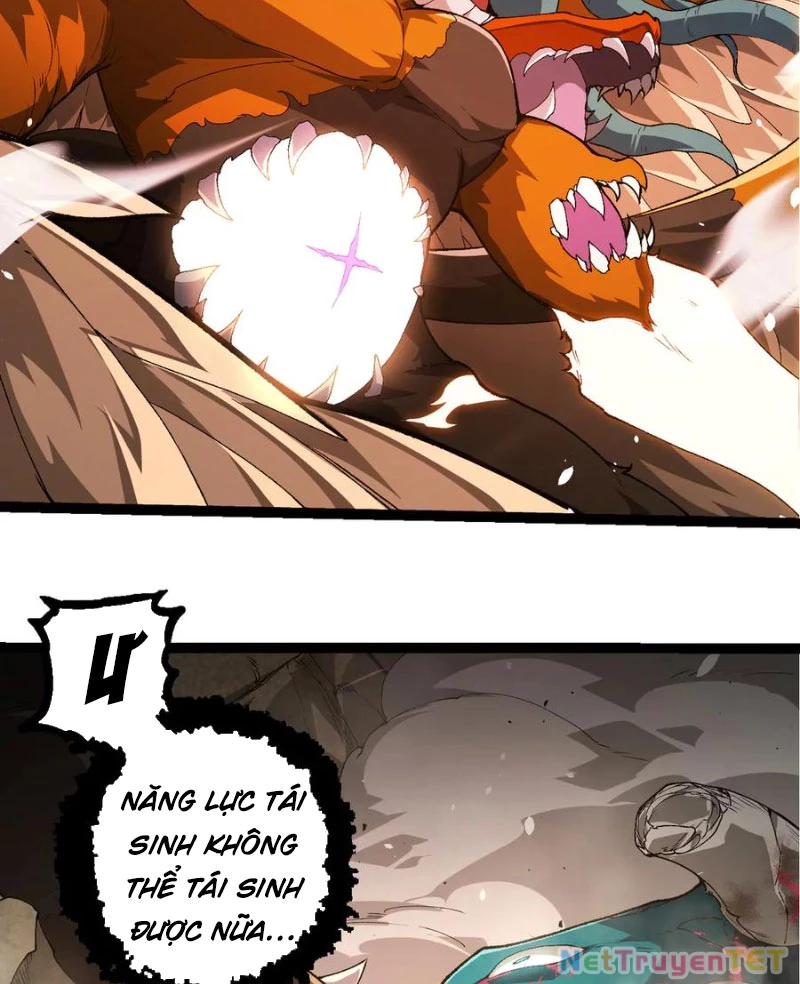Chuyển Sinh Thành Liễu Đột Biến Chapter 326 - Trang 4