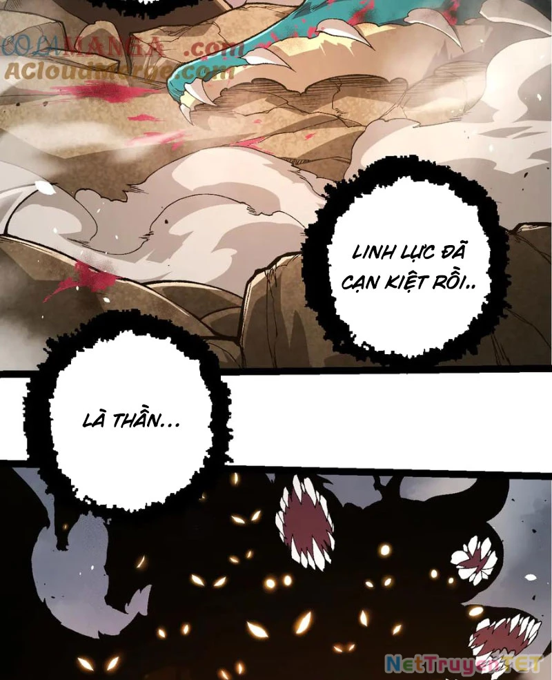 Chuyển Sinh Thành Liễu Đột Biến Chapter 326 - Trang 4