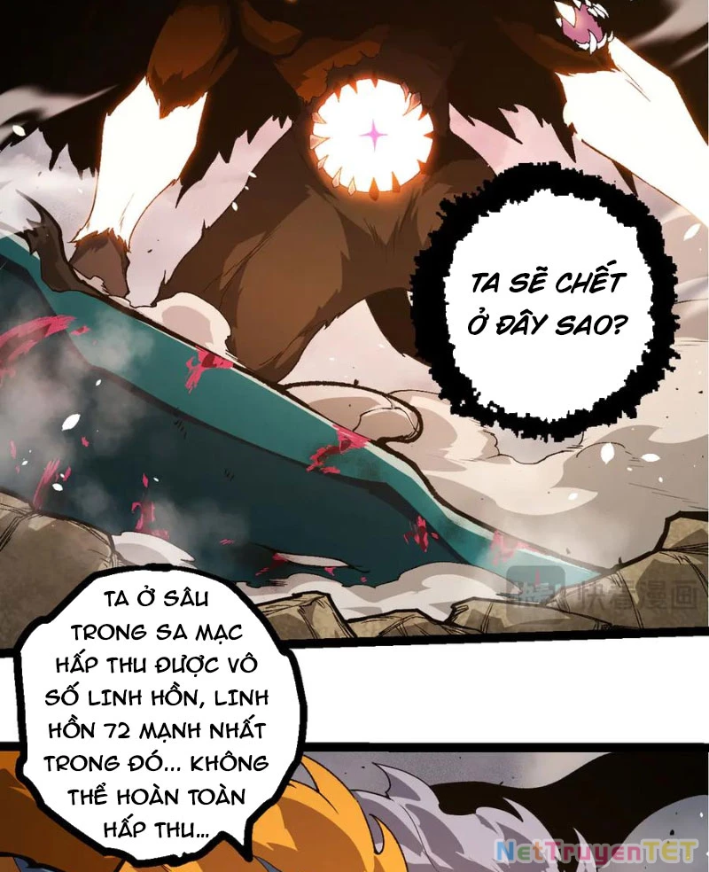 Chuyển Sinh Thành Liễu Đột Biến Chapter 326 - Trang 4
