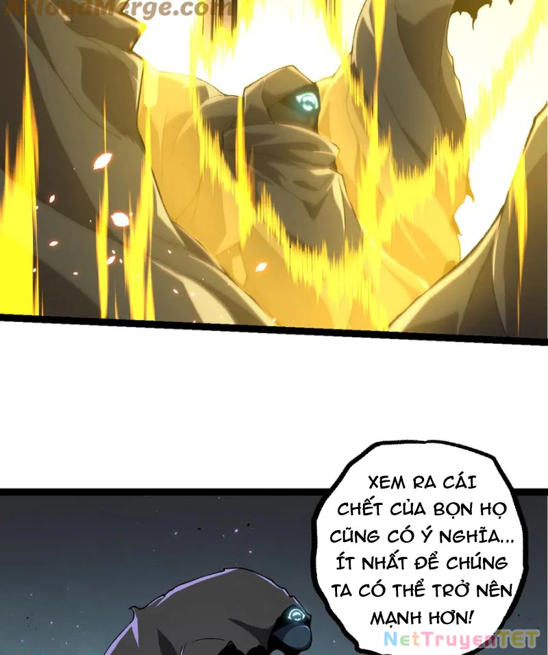 Chuyển Sinh Thành Liễu Đột Biến Chapter 326 - Trang 4