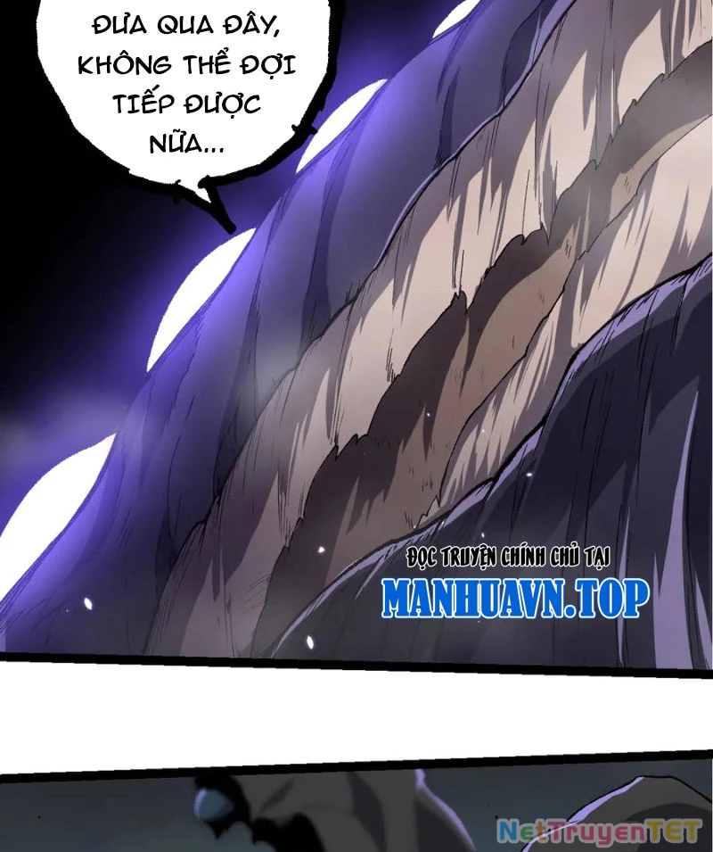 Chuyển Sinh Thành Liễu Đột Biến Chapter 326 - Trang 4