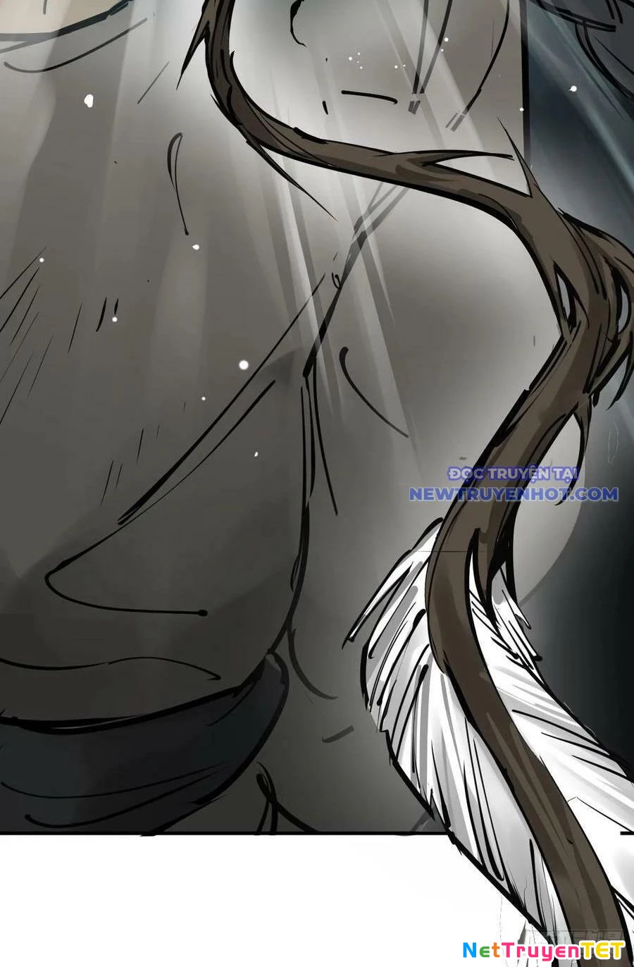 Xuyên Không Thành Chim Chapter 199 - Trang 2