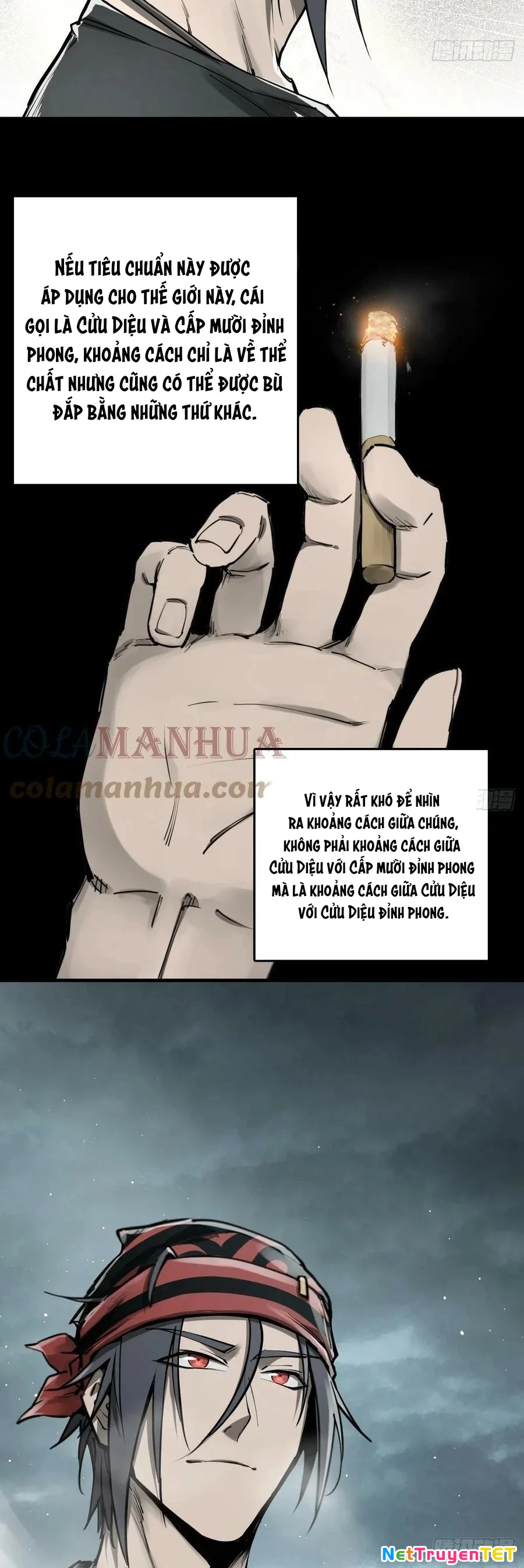 Xuyên Không Thành Chim Chapter 200 - Trang 2