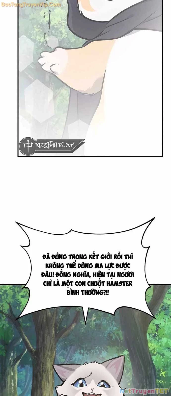 Làm Nông Dân Trong Tòa Tháp Thử Thách Chapter 95 - Trang 4