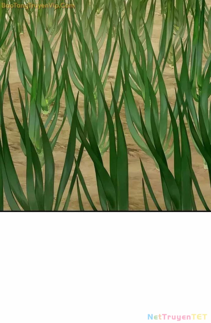 Làm Nông Dân Trong Tòa Tháp Thử Thách Chapter 95 - Trang 4