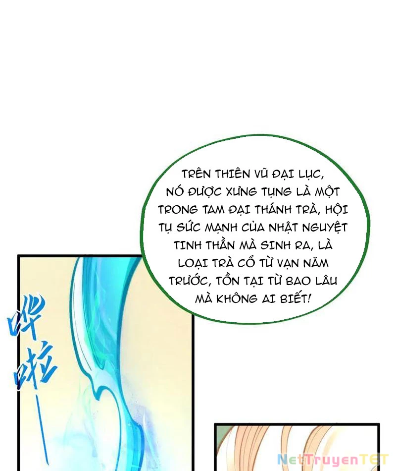 Vạn Cổ Chí Tôn Chapter 389 - Trang 4
