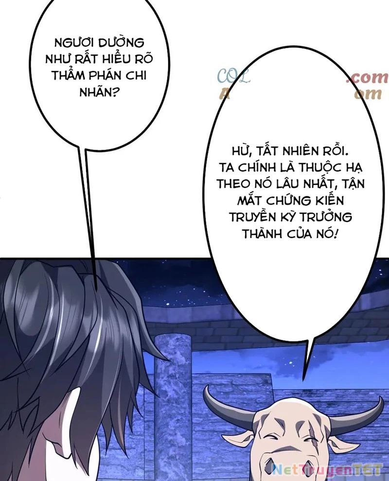 Bắt Đầu Với Trăm Vạn Minh Tệ Chapter 213 - Trang 4