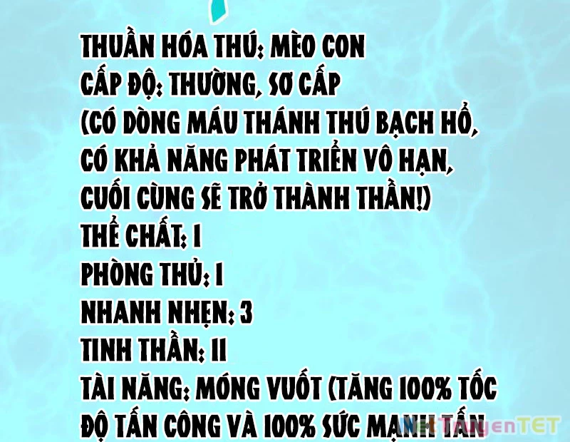 Vạn Tộc Xâm Lược :Mở Đầu Thuần Hóa Cự Thú Cấp Sử Thi Chapter 8 - Trang 3