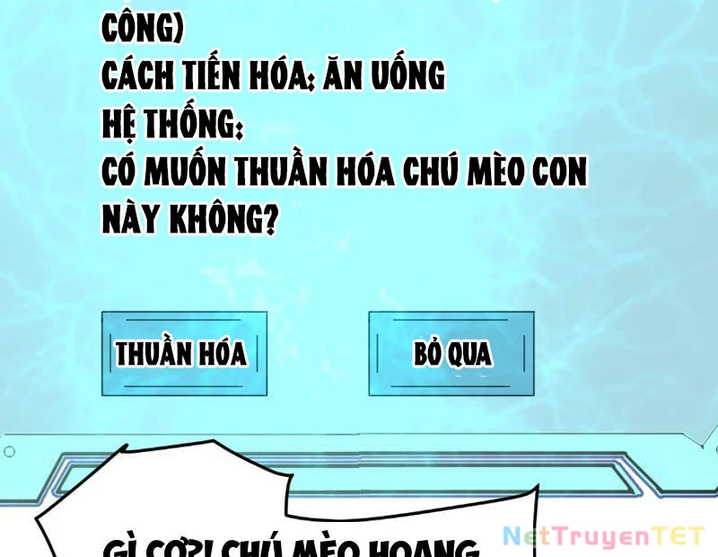Vạn Tộc Xâm Lược :Mở Đầu Thuần Hóa Cự Thú Cấp Sử Thi Chapter 8 - Trang 3