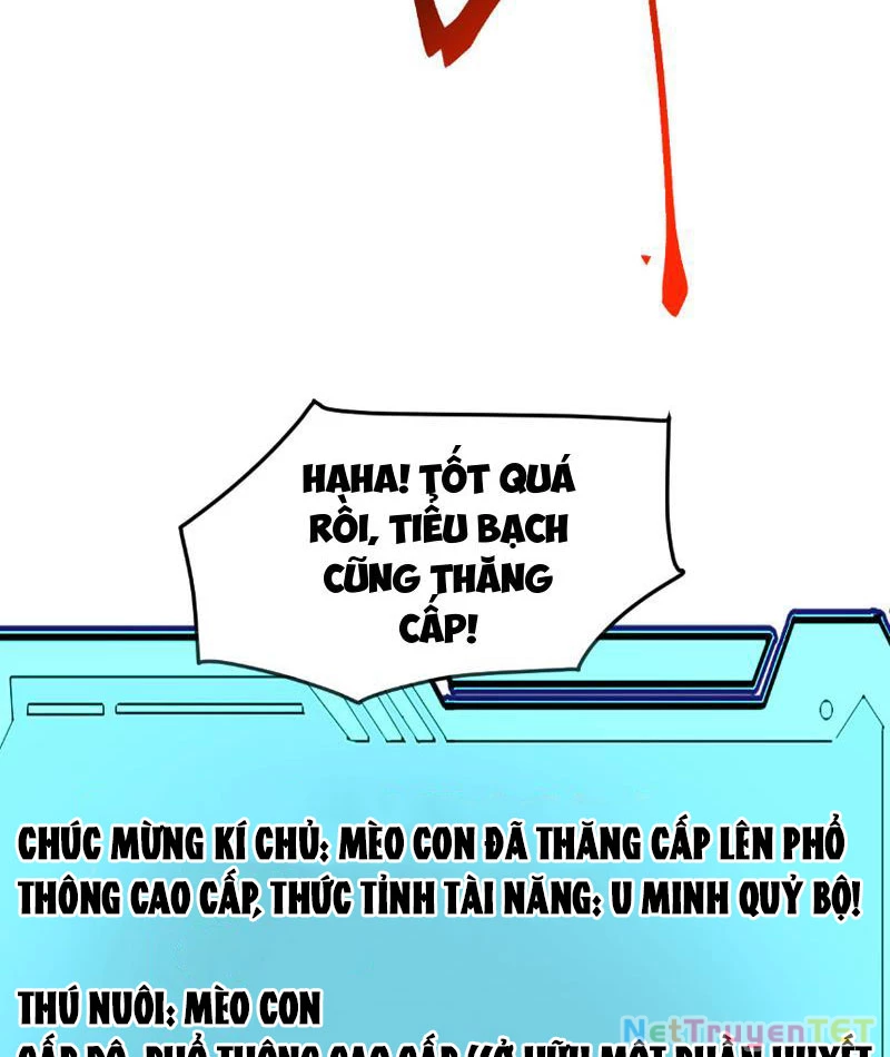Vạn Tộc Xâm Lược :Mở Đầu Thuần Hóa Cự Thú Cấp Sử Thi Chapter 9 - Trang 3