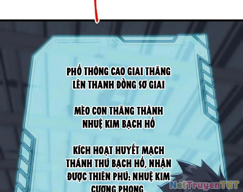Vạn Tộc Xâm Lược :Mở Đầu Thuần Hóa Cự Thú Cấp Sử Thi Chapter 13 - Trang 3