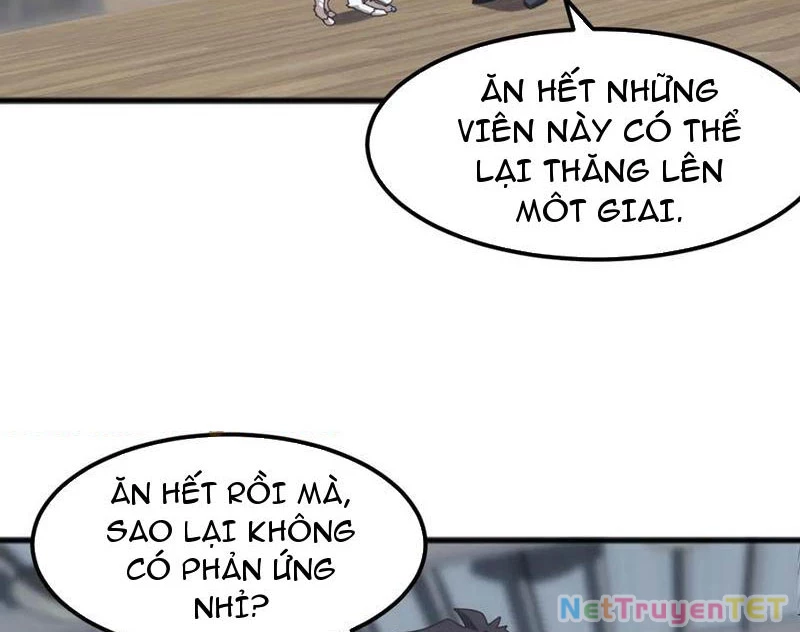Vạn Tộc Xâm Lược :Mở Đầu Thuần Hóa Cự Thú Cấp Sử Thi Chapter 13 - Trang 3