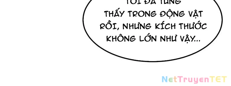 Vạn Tộc Xâm Lược :Mở Đầu Thuần Hóa Cự Thú Cấp Sử Thi Chapter 16 - Trang 3
