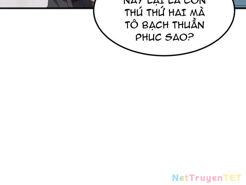 Vạn Tộc Xâm Lược :Mở Đầu Thuần Hóa Cự Thú Cấp Sử Thi Chapter 16 - Trang 3