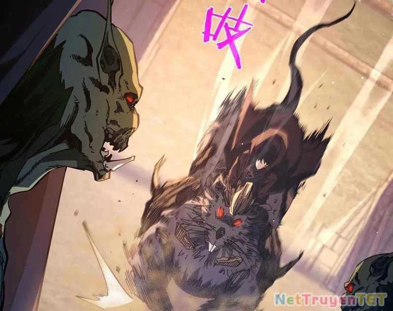 Vô Địch Bị Động Tạo Ra Tấn Sát Thương Chapter 50 - Trang 4