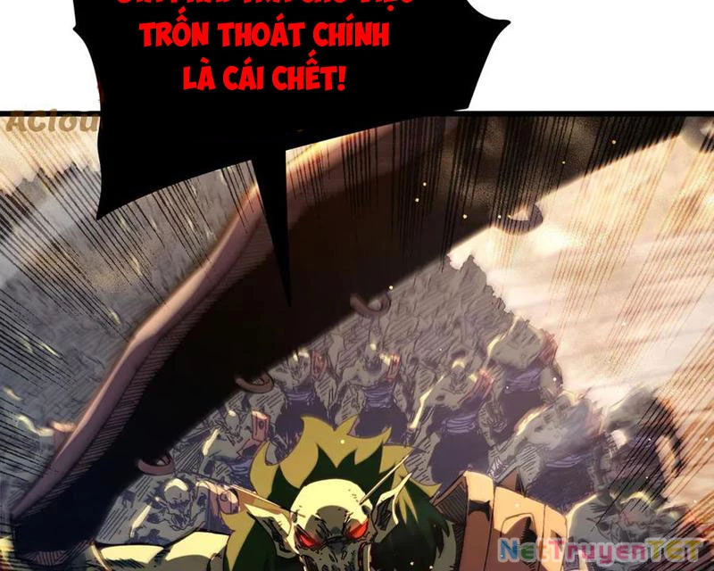 Vô Địch Bị Động Tạo Ra Tấn Sát Thương Chapter 50 - Trang 4