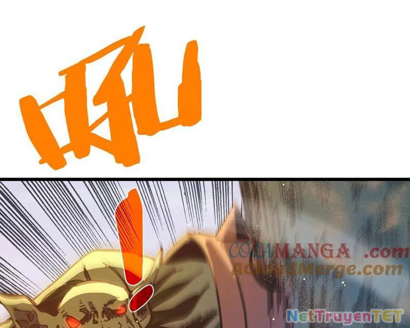 Vô Địch Bị Động Tạo Ra Tấn Sát Thương Chapter 50 - Trang 4