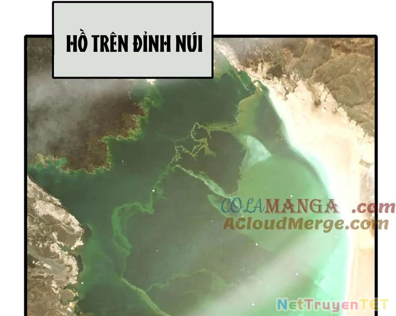 Vô Địch Bị Động Tạo Ra Tấn Sát Thương Chapter 50 - Trang 4